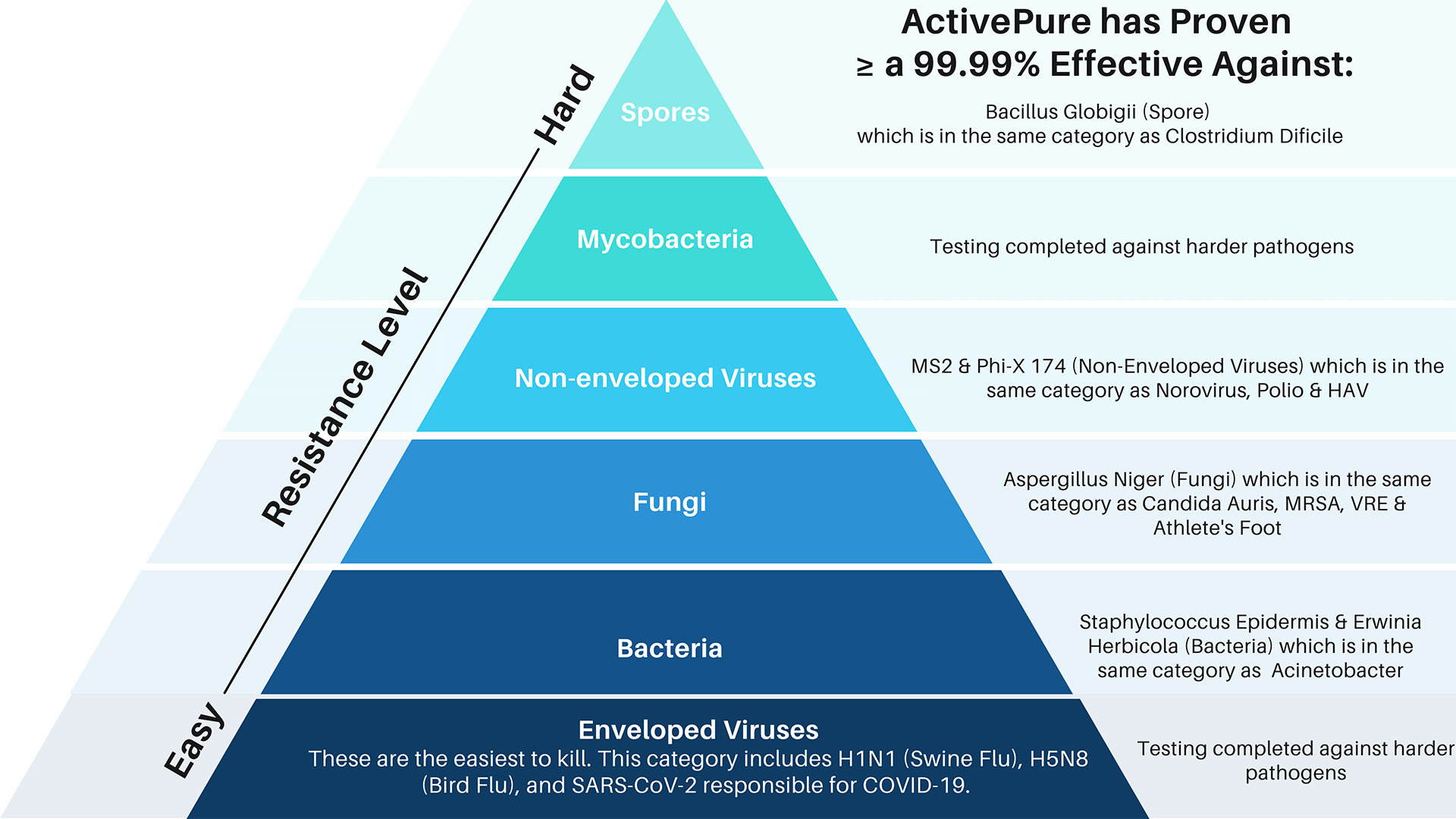 AP Hierarchy of Pathogens